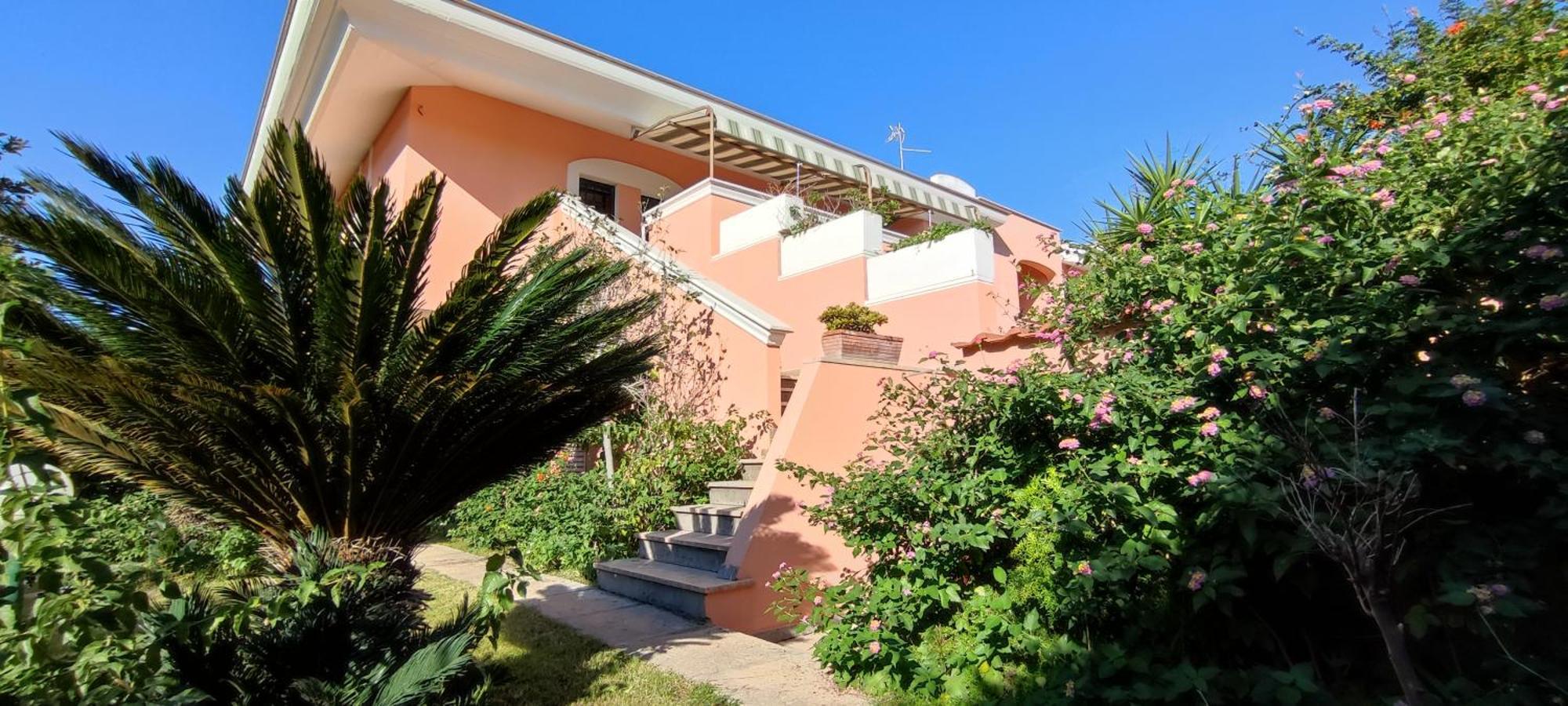 Katy's Garden Anzio